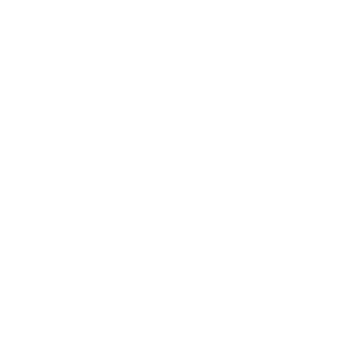 Logo blanc Tiktok