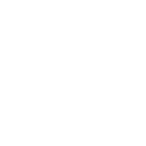 Logo blanc Facebook